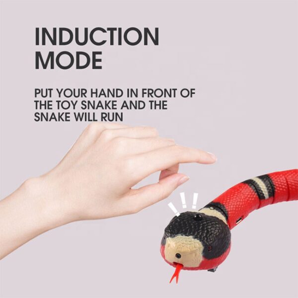 Snake toys for cat and dog electric automatic usb charging - Image 3