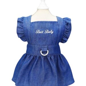 Blue Navy Dress