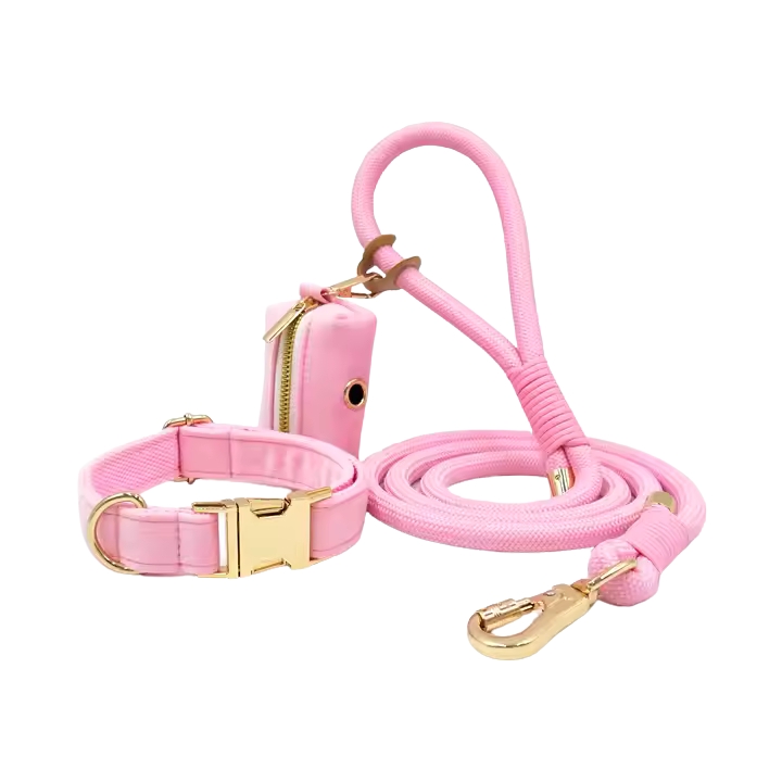 Princess Rope Luxary  Dog Walk Set - Image 2