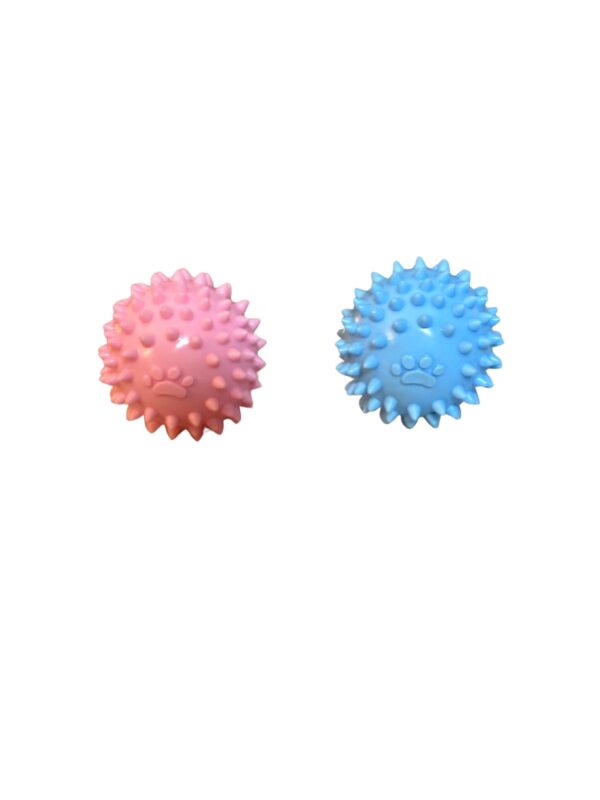 Puppy Chew & Teething Ball Toy