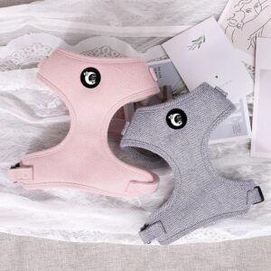 Carry Love Harness