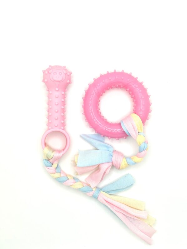 Puppy Chew Toy for Teeth Cleaning (Set)