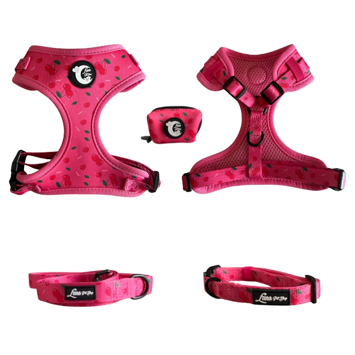 Fruit Adjustable Walking Set - Image 2