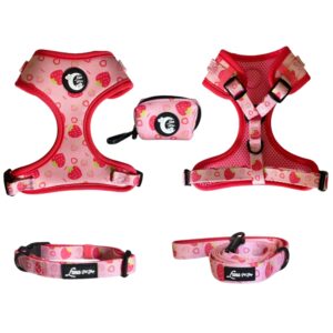 Harnesses